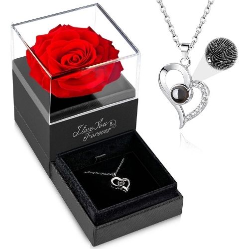Preserved Rose with Necklace Gift Set | Eternal Flower & Jewelry Keepsake