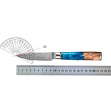 3.5-Inch Paring Knife VG10 Damascus Steel – Precision Kitchen Tool