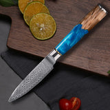 3.5-Inch Paring Knife VG10 Damascus Steel – Precision Kitchen Tool