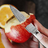 3.5-Inch Paring Knife VG10 Damascus Steel – Precision Kitchen Tool