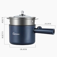All-in-One Mini Electric Cooker | Portable Multi-Function Rice & Stew Pot