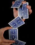 Bicycle Standard Playing Cards - Poker, Rummy, Euchre, Pinochle, Card Games